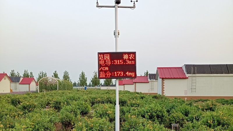 小标题：复合肥规格参数表解读