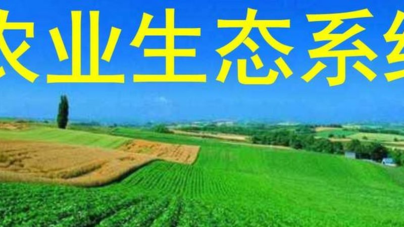 生态农业循环经济模式：构建可持续种植的未来**