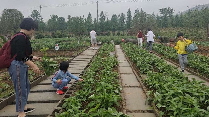果蔬冷链运输材质要求解析：安全、高效、环保的秘诀