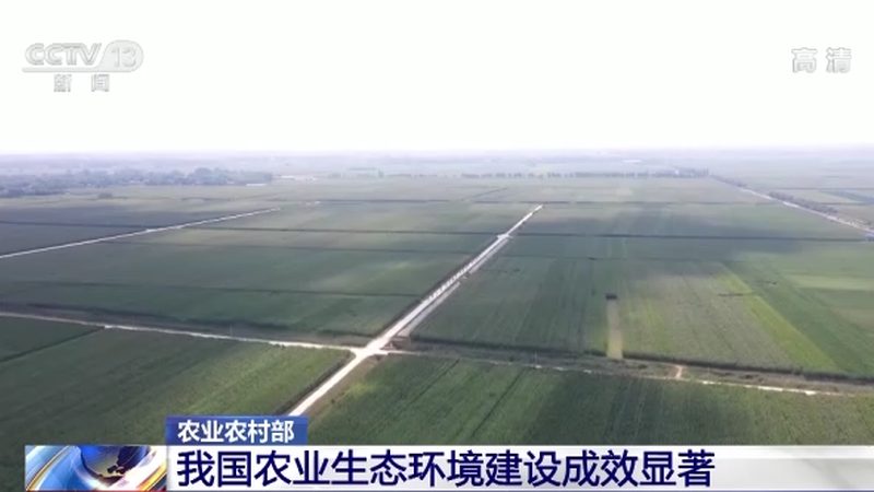 智慧农业种植系统：如何选择最适合你的解决方案