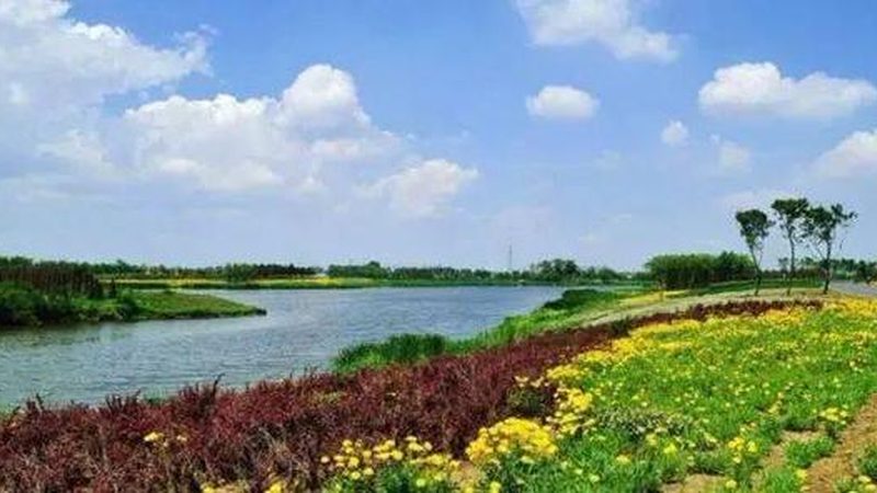 家庭农场种植成本预算表