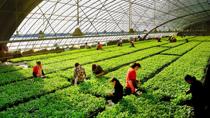 农民专业合作社注册补贴全解析