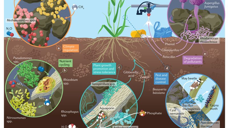 水果种植设备：品牌型号参数解析与选购要点