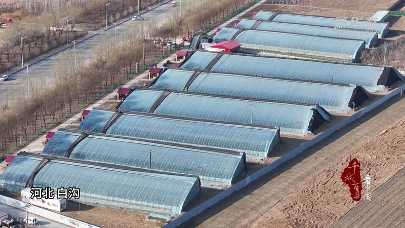土壤改良，粮食种植的根基