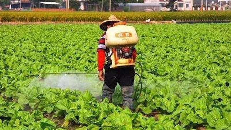 生态环境：申报的农业产业园应注重生态环境保护，实现绿色发展。具体要求如下：